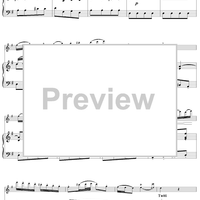 Flute Concerto in G Major, Allegro vivace - Piano