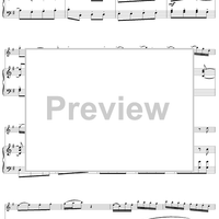 Flute Concerto in G Major, Allegro vivace - Piano