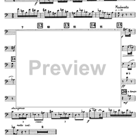 Variazioni su un tema di Prokofiev - Bassoon 1