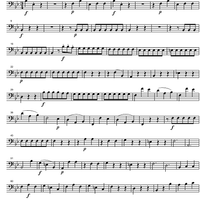 Divertimento No.15 Bb Major KV287 - Double Bass
