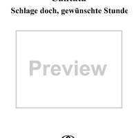 Schlage doch, gewünschte Stunde - Cantata No. 53 - BWV53