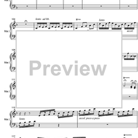 Argentinian Rhapsody - Marimba