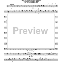 Christmas Medley - Trombone