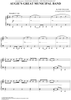 Augie's Great Municipal Band