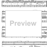 Divertimento Bb Major KV254 - Score
