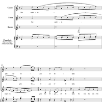 The Nightingale, the Organ of Delight