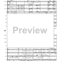 Prelude, Elegy & Rondo Scherzino - Score