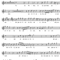 Tu es Petrus - Tenor