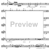 Sonata in D minor - Cello