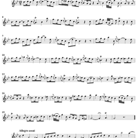 Sonata No. 25 in G Minor - Flute