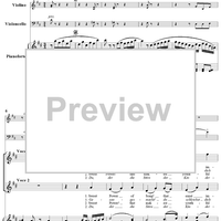 Twenty five Irische Lieder