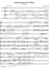 String Quartet in E Minor, Movement 1 - Score