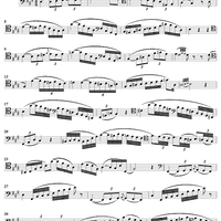 Concert Study No. 30