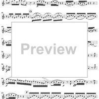 Grand Duo in D Major, Op. 39, No. 1 - Flute 2