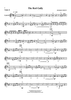 The Red Gully - Violin 2