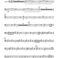 Echoes of the Cape - Bassoon