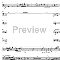 Divertissement - Bassoon