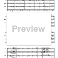 Turkey in the Straw - Score