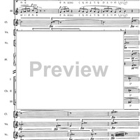 Five Lyrics of "Blue cat" - Score