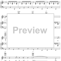 The Shady Dame from Seville