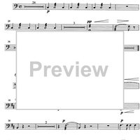 Maghen David - Timpani