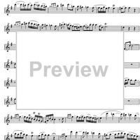 Concerto No. 2 C Major KV314 - Flute