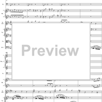 Violin Concerto in D Major (BWV1045) - Full Score