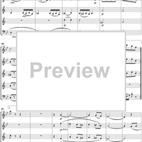 Suite for Woodwind Quintet, No. 3: Finale - Score