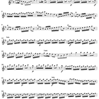 Violin Concerto in G Major    - from "L'Estro Armonico" - Op. 3/3  (RV310) - Violin 1