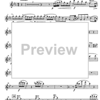 Im Schweizer Volkston - Flute