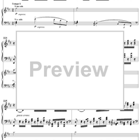 Concerto No. 2 for Piano and Orchestra, Part 2