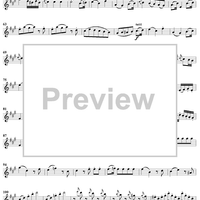 Violin Concerto No. 5 - Solo Violin