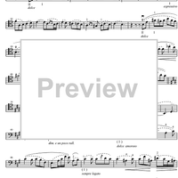 Die Zelle in Nonnenwerth - Cello