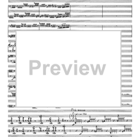 Birds Heterophony - Full Score