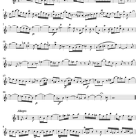 Sonata in A Minor - Flute
