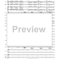 Harry Potter Symphonic Suite - Score