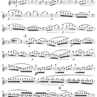 Duet No. 5 from Six Easy Duets, Op. 137 - Flute 1