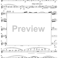 Wind Quintet in C Major, Op. 79 - Flute