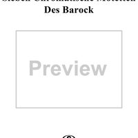 Sieben Chromatische Motetten Des Barock, vol.14, III