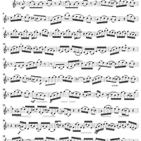 "Ich bin vergnügt in meinem Leiden", Aria, No. 3 from Cantata No. 58: "Ach Gott, wie manches Herzeleid" - Violin