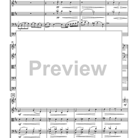 Raindrops on my Windowpane for String Orchestra - Score