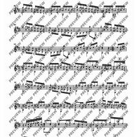 13 Sonatas
