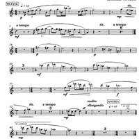 Choral Selection from Whistle Down The Wind - Flute