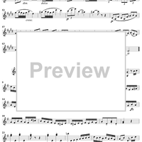Piano Trio in G Major ("Gypsy Trio"), HobXV/25 - Violin