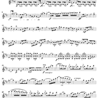 Violin Concerto No. 1 - Violin