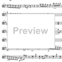 String Quartet No.15 G Major D887 - Viola