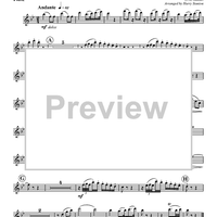 Voi che sapete che cosa e amor - Flute