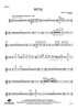 Metal - Flute 1