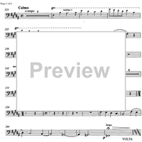 Carmen pro carmine - aria con variazioni - Cello