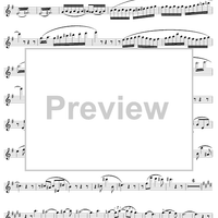 Sonata ("Undine"), op. 167 - Flute